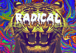 radical_gif-3839